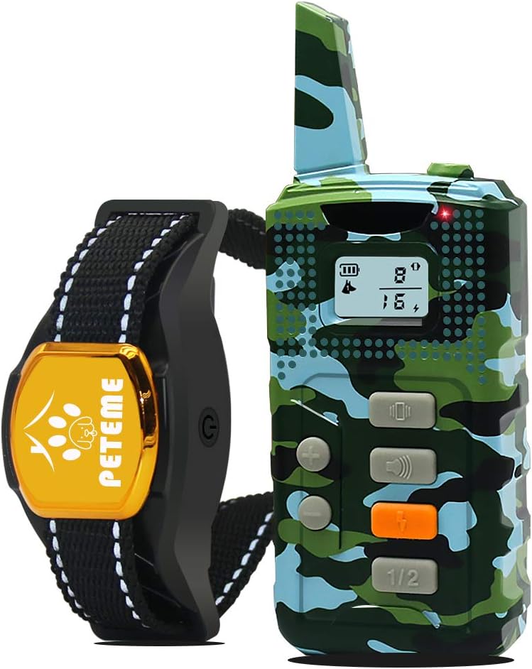 how long is a dog year