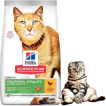 youthful vitality cat