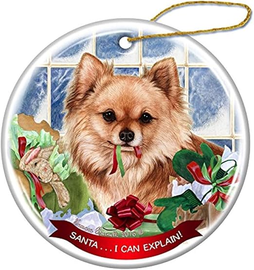 Amazon Com Cheyan Fawn Longhaired Chihuahua Dog Porcelain Hanging
