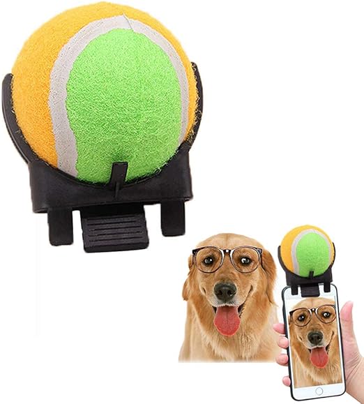 ball selfie dog