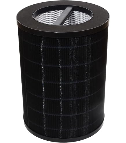 Amazon.com: Air Health SKYE Replacement Filter featuring a Pre