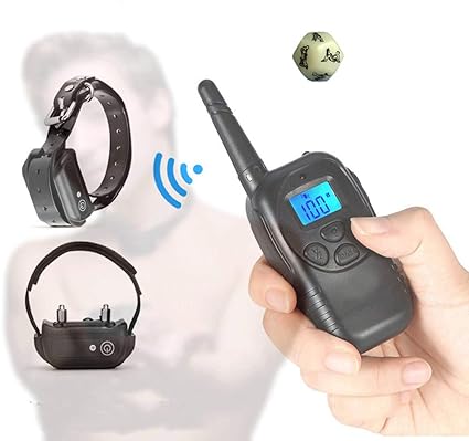 half chow chow half german shepherd