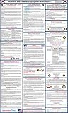2017 Alabama State and Federal Labor Law Poster - Laminated 24