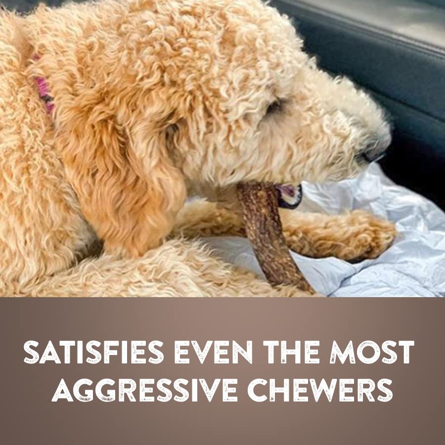 WhiteTail Naturals Jumbo XL Antler Dog Chews (2 Pack X Large) Tough