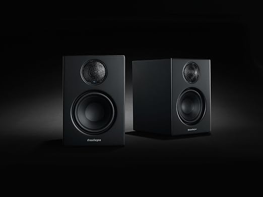 audio pro addon t14 amazon