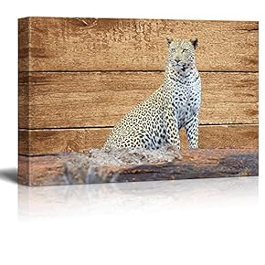 Rustic Canvas Wall Art - Sitting Leopard - Giclee Print Modern Wall Art | Stretched Gallery Wrap Ready to Hang Home Decoration - 12x18 inches