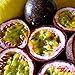 Frozen Seed Capsules - Purple Passionfruit (Passiflora edulis) - Grow Now or Store for Future Planting - Capsule of 10 Seeds