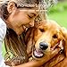 Optima Pets Organic Cat and Dog Hemp Oil - Improves Health, Provides Hip and Joint Pain Relief, and Reduces Inflammation - Natural Cat and Dog Anxiety Relief - Colorado Grown and Manufactured