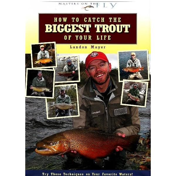 Sight Fishing for Trout: Mayer, Landon: 9780811705516