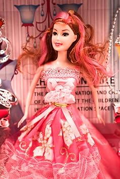 Pe-Haash Elegant Fashion Doll with Beautiful Accessories and Clothes.