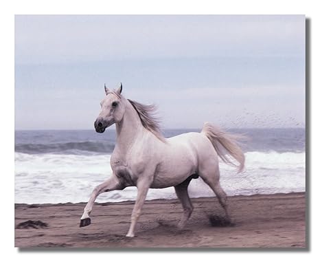 Running Horse Sketch For Equestrian Sport Design