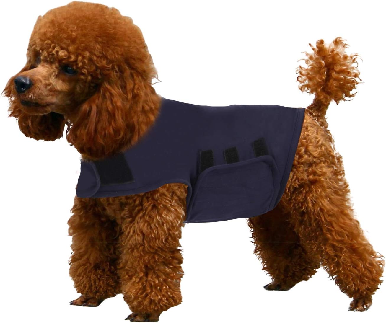 KELIVOL Anxiety Coat for Dog Anxiety Relief Jacket, Calming Light Weight Wrap Vest