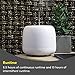 Small Oil Diffuser, Electric Aroma Diffuser for Bedrooms or Office, Cool Mist Humidifier | 7 Color Lamp Diffuser, Ultra Quiet, BPA-Free, 145ml | Make Lemonade Brand (Lucy)