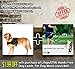 Lifepul No Pull Dog Vest Harness - Dog Body Padded Vest - Comfort Control for Large Dogs in Training Walking - No More Pulling, Tugging or Choking