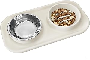 Gentledog Waterproof Silicone Cat Food Bowls, Stainless Steel & Silicone Slow Feeder Double Bowls, Non-Skid & Non-Spill Raised Edge, Food and Water Feeder for Cat and Puppy