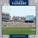 Turner Perfect Timing 2015 New York Yankees Team Wall Calendar, 12 x 12 Inches (8011644)