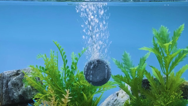 Thumbnail 23