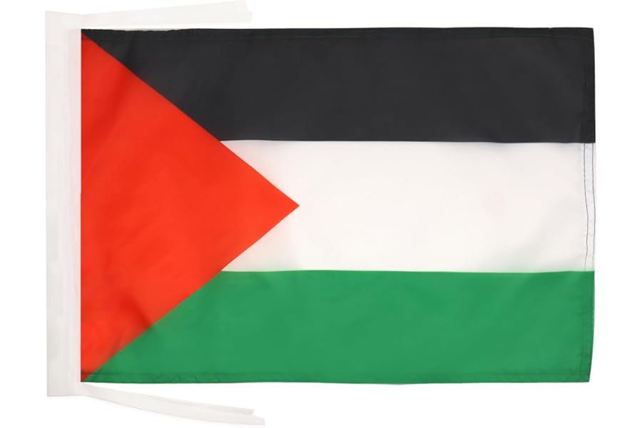 AZ FLAG Palestine Flag 18'' x 12'' cords - Palestinian SMALL flags 30 x 45cm - Banner 18x12 in