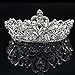 Gold Silver Crystal Heart Rhinestone Headband Crown for Cake Topper Party Wedding Princess Headpiece Tiara (Silver)
