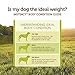 Instinct Raw Boost Healthy Weight Grain Free Chicken Meal Formula Natural Dry Dog Food By Nature'S Variety, 21.8 Lb. Bag