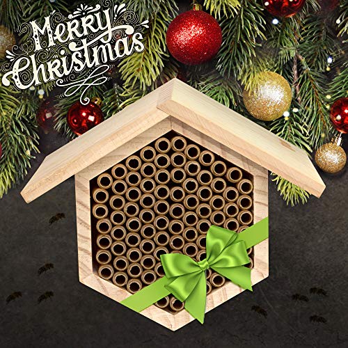 Rivajam Mason Bee House 2021 Design Wax Coated Nesting Bee Box 95