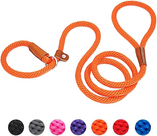 amazon dog slip leads