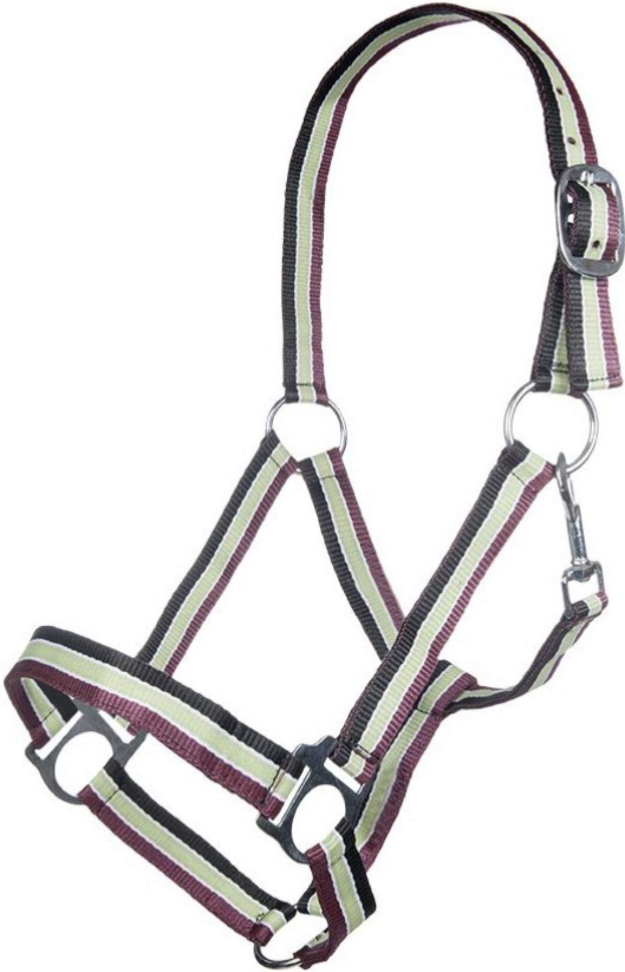 HKM Geneva Headcollar Black/Apple Green/Red Pony