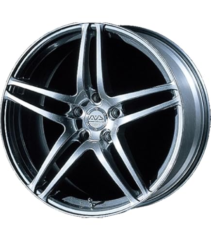 Amazon.com: Aoshima 1/24 Tuned Parts No.46 AVS Model T6 19inch