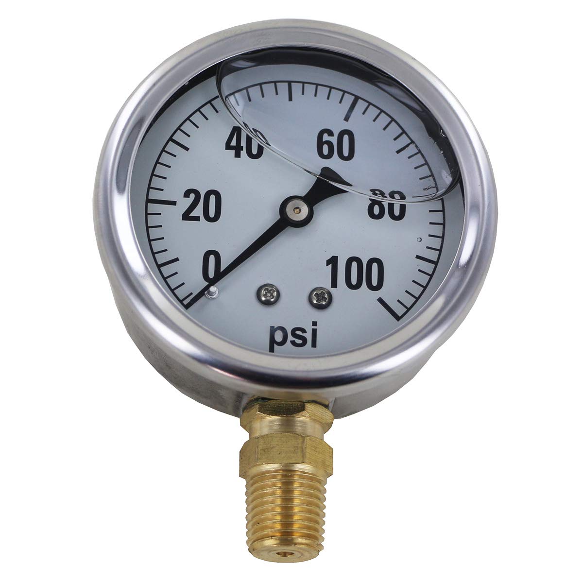 Delavan 2200301 PowerFlo 12V Demand Diaphragm Pump with 100 PSI