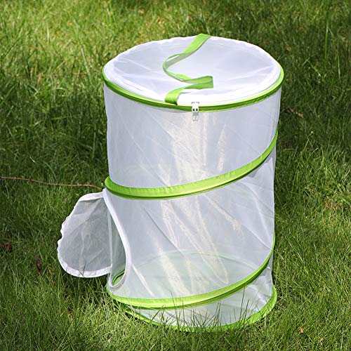 4 RESTCLOUD+Butterfly+Habitat+Collapsible+Terrarium