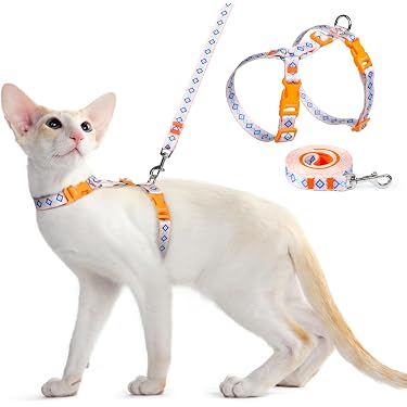 2021 fishing reels 21 Shimano Twin Power SW 14000XG Spinning Fishing Reel  GT FIGHT CLUB