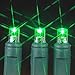 Novelty Lights 11ft 50 LED Green Christmas Lights Outdoor/Indoor, 2.5
