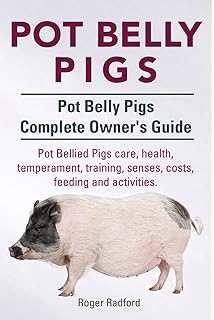 healthy pot belly pig
