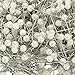 KINGSO 800pcs Round Pearl Head Dressmaking Pins Weddings Corsage Florists Sewing Pin White