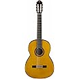 Yamaha CG-TA Nylon String TransAcoustic Guitar with Chorus and Reverb, Classical, Vintage Tint