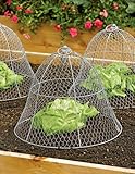 Gardener's Supply Company Sturdy Chicken Wire Cloche, Plant Cover and Protection