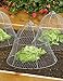 Gardener's Supply Company Sturdy Chicken Wire Cloche, Plant Cover and Protection primary