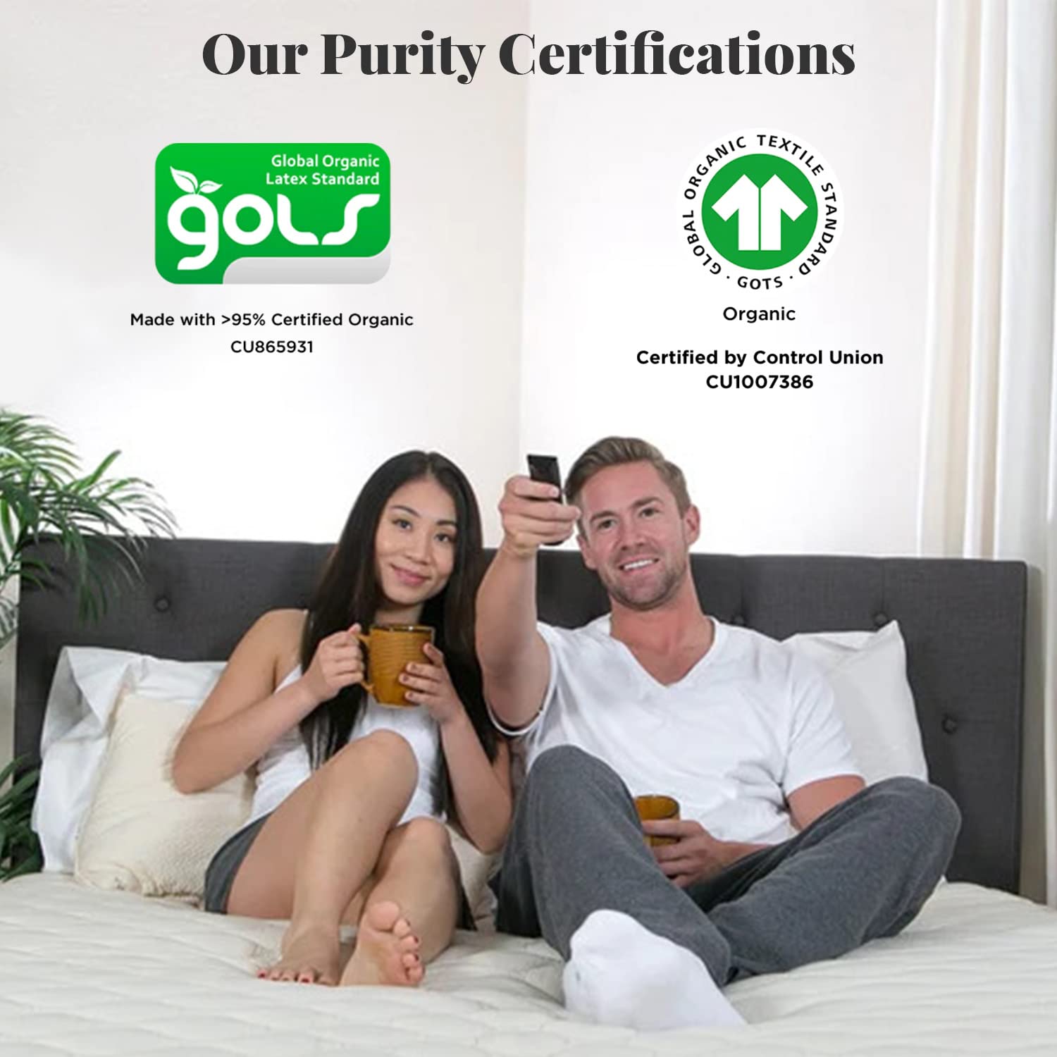 Latex for Less LFL2S0905 9 inch Queen Natural Latex