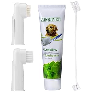 QUMY Toothpaste for Dogs 3.5 oz Pet Dental Care Unit