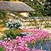 2015 English Country Gardens Wall Calendar