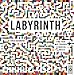 Labyrinth: Find your way through 14 magical mazes