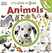 Little Hide and Seek: Animals