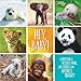 Hey, Baby!: A Collection of Pictures, Poems, and Stories from Nature's Nursery (National Geographic Kids)