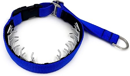 saint bernard blue heeler mix