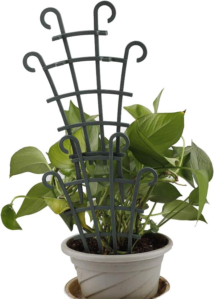 Nuxn 6pcs Small Indoor Plant Climbing Trellis