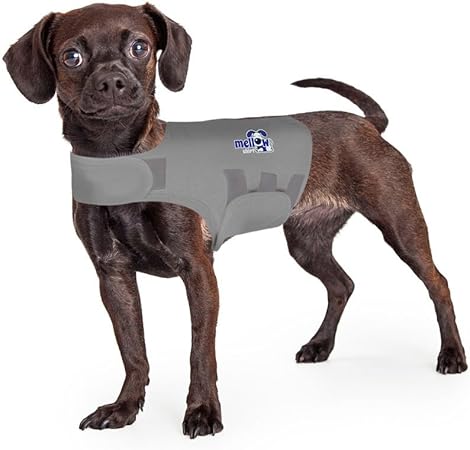 mellow shirt dog anxiety calming wrap