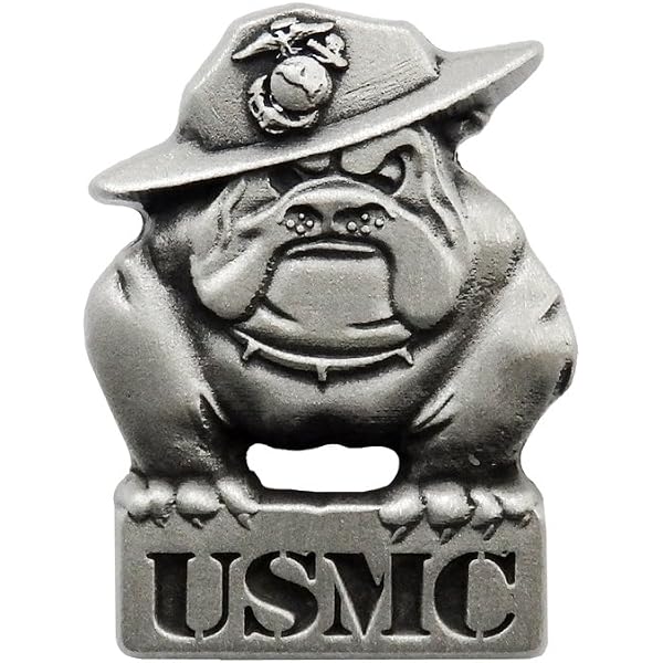 US MARINE CORPS USMC MARINES LARGE LAPEL PIN BADGE 1.5 INCHES