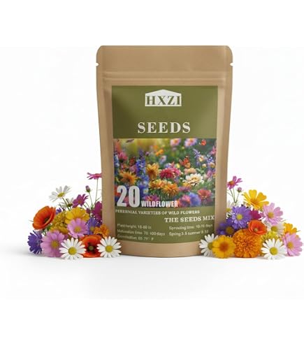 Amazon.com : KCT GARDEN Wildflower Seeds Mixed, Perennial Flower