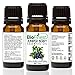 BioFinest Juniper Berry Oil - 100% Pure Juniper Berry Essential Oil - Premium Organic - Therapeutic Grade - Best For Aromatherapy - Boost Immune System - FREE E-Book (10ml)
