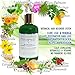Botanical Hair Growth Moringa Shampoo With Saw Palmetto For Hair Loss and Hair Thinning Prevention Scalp Balancing Natural Thickening Shampoo Regrowth Products For Women & Men 10.2 Fl Oz
